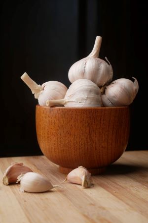 how much garlic can kill a dog