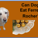 Can Dogs Eat Ferrero Rocher