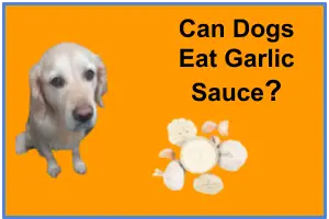 Can Dogs Eat Garlic Sauce