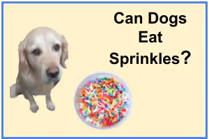 Can Dogs Eat Sprinkles