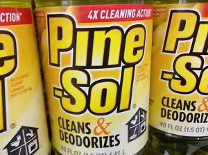 Is Pine Sol Toxic For Dogs