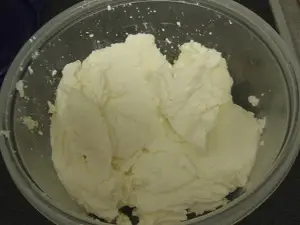 can a dog eat ricotta