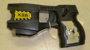can a taser kill a dog