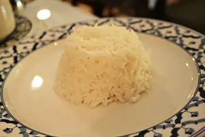 can dogs eat jasmine rice