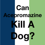 Can Acepromazine Kill A Dog
