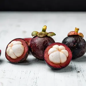 Can dogs have mangosteen