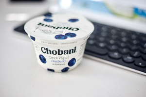 can dogs eat greek yogurt