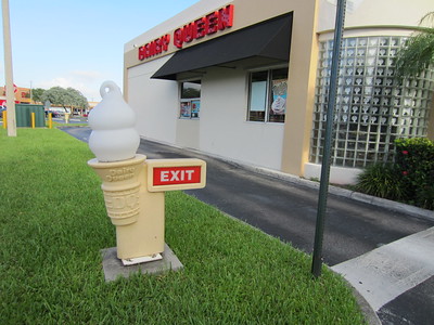 Does Dairy Queen Ice Cream Contain Xylitol