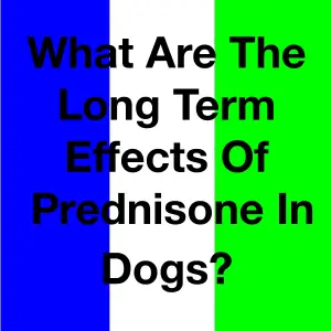 What Are The Long Term Effects Of Prednisone In Dogs