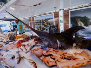 Can dogs eat swordfish