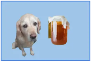 Are probiotics effective...