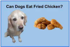 Can Dogs Eat Fried Chicken