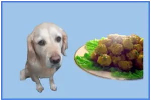 Can dogs eat chicken balls