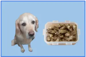 Can dogs eat chicken hearts