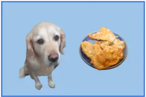 Can dogs eat chicken skin