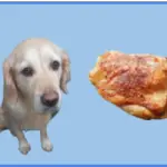 Can dogs eat chicken thighs