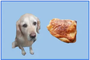 Can dogs eat chicken thighs