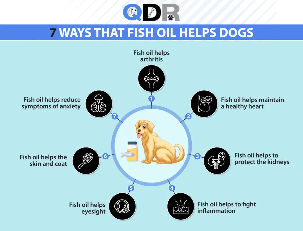 Chart displays 7 ways that fish oil helps dogs