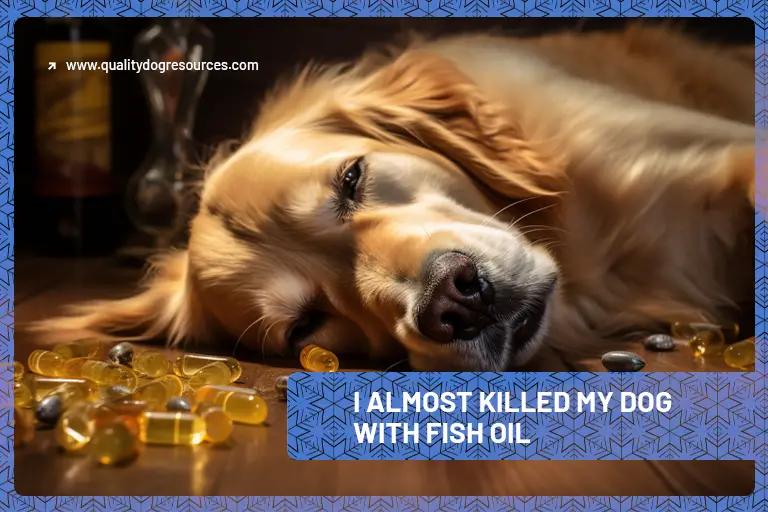 Dog lying floor surrounded fish oil capsules
