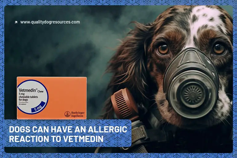 a dog box of Vetmedin gas mark
